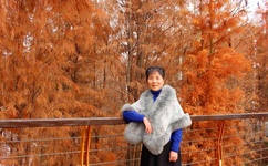 藤条红肿颤抖扒开臀缝